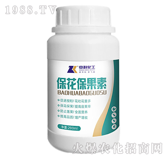 ����������-�пƻ���