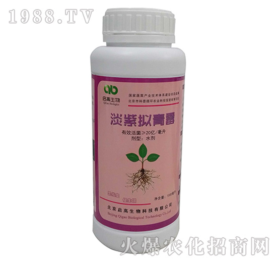 ���ϔM��ù������Һ�w��-���S��-��������