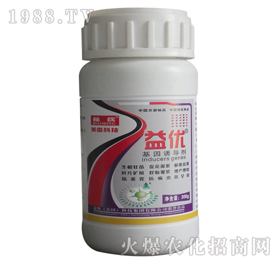 �����T����-�惞(y��u)-���S��