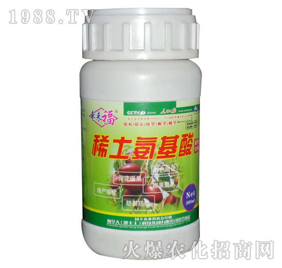 ϡ�����������-������-���S��