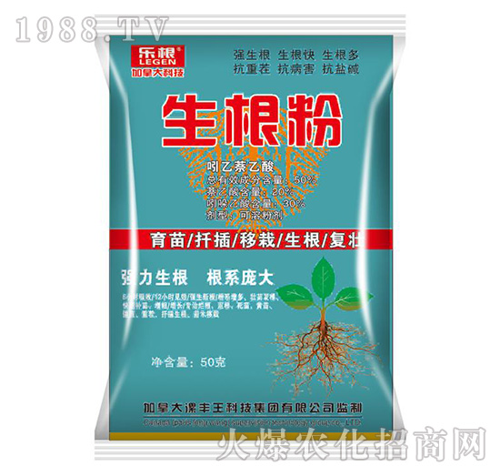 ������-����-���S��