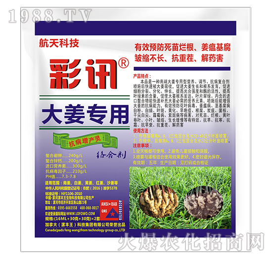 �󽪌��ÿ������a�`-��Ӎ-���S��