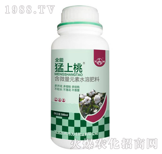 ������-���