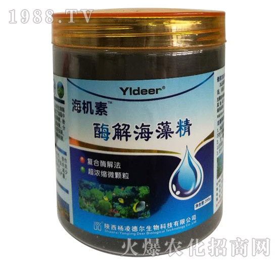 ø�⺣�徫-���C(j��)��-� �����