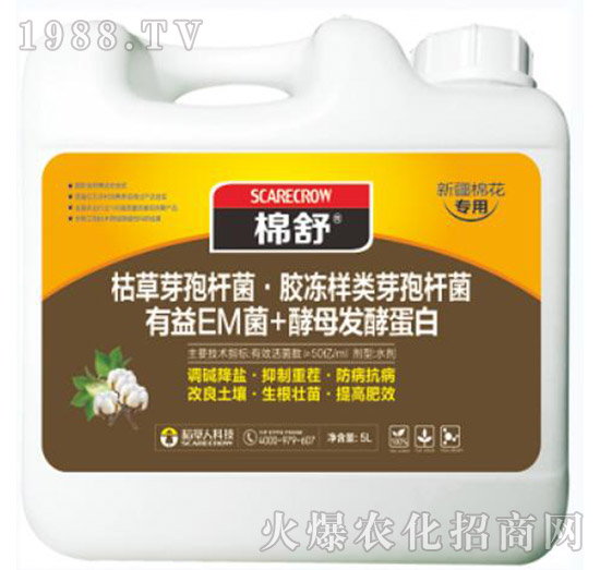 �����޻�����-����-������