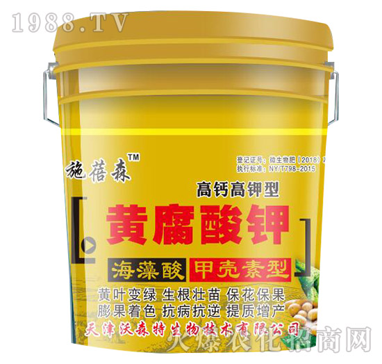 ���}������S����⛷���-ʩ��ɭ-��ɭ��