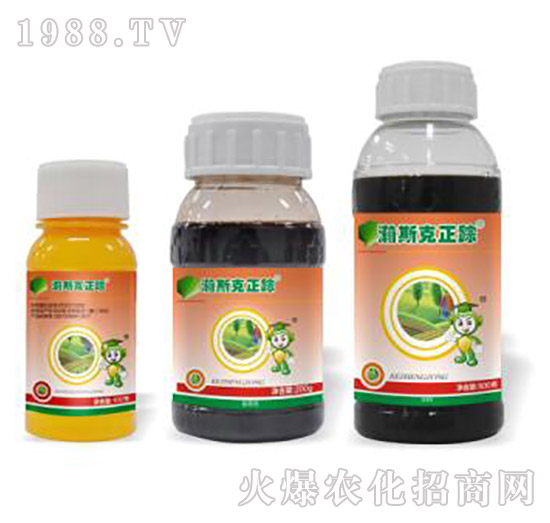 43%�ݸ����}-�˹����ۙ-�˹����