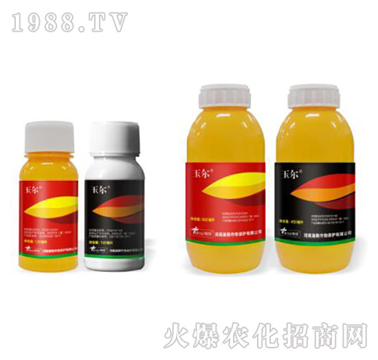 24%���ס�ݬȥ��+15%���ǲ�ͪ-��-�˹����