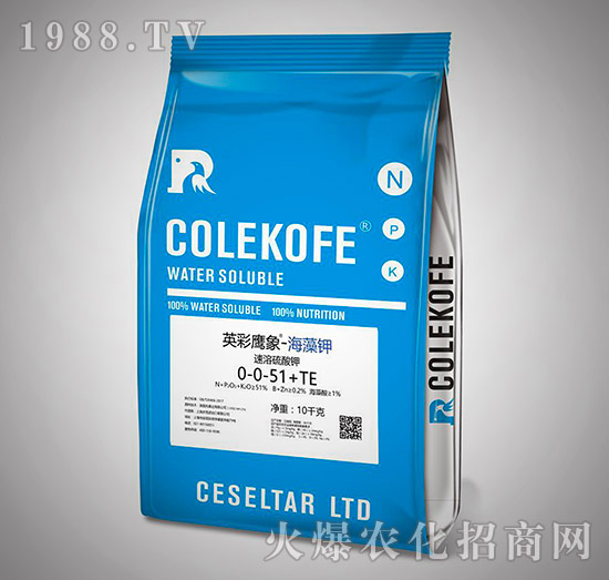 ���������-0-0-51+TE-Ӣ������-����