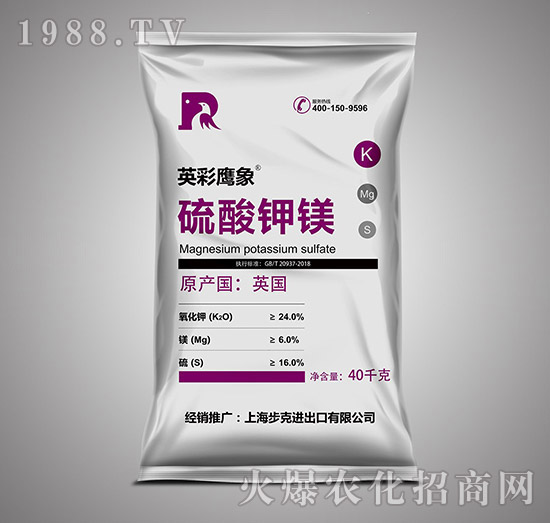 ������V-Ӣ������-����