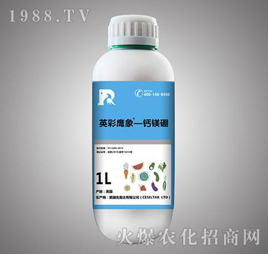 �}�V��-Ӣ������-����