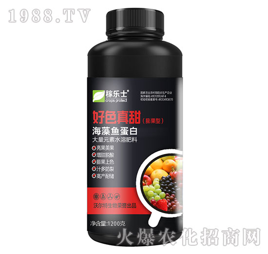 ����ͺ����~����-��ɫ����-�ژ�(l��)ʿ