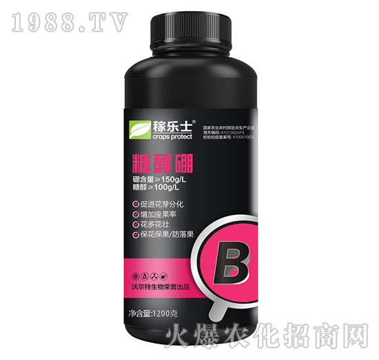 �Ǵ���-�ژ�ʿ