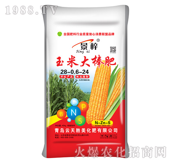 ���״����-����-�������