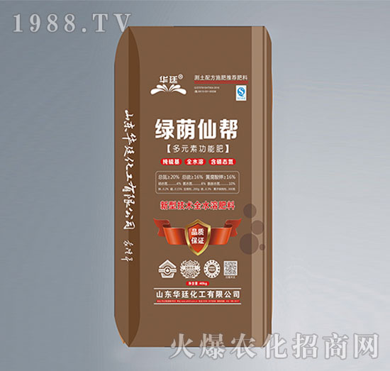 ��Ԫ�ع��ܷ�-�G�a�Ɏ�-�A͢����