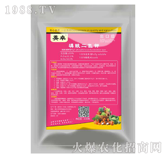 ��������-Ӣ׿-������