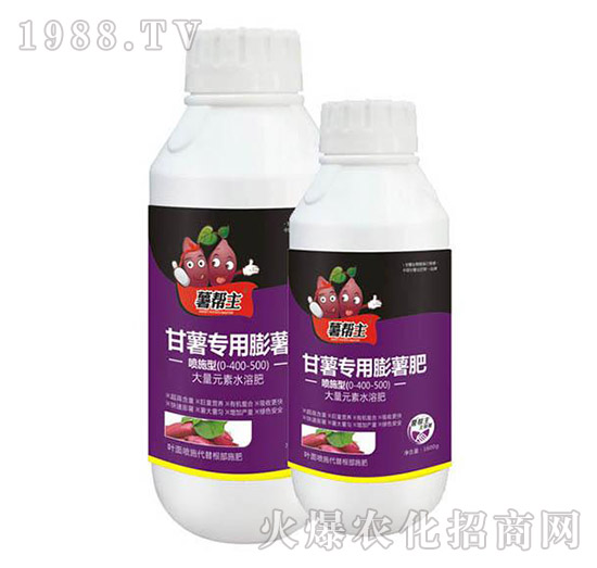 �t�팣��������-�����-���A����(l��)