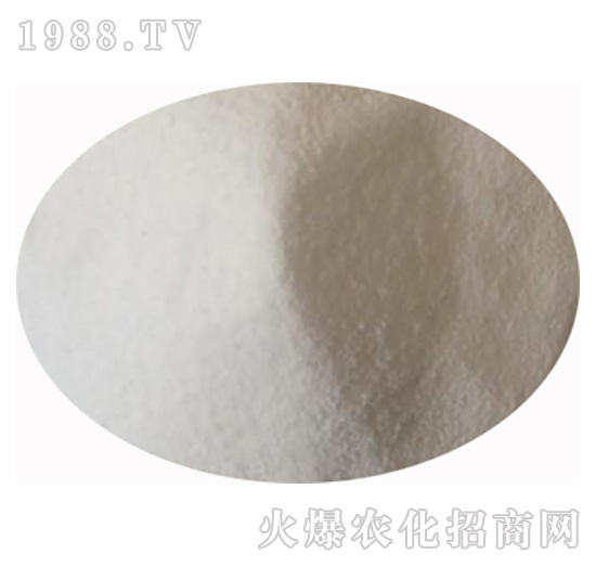 �Ȼ��@-����