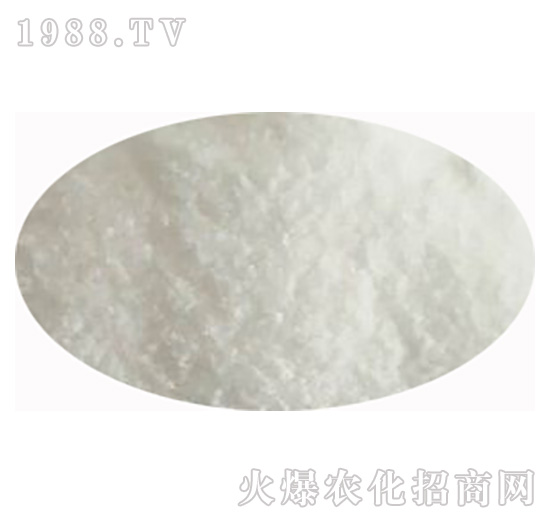 �����-����