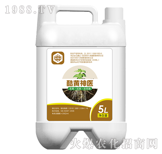 ���S���t(y��)�������������ã�-��ֲ(li��n)��