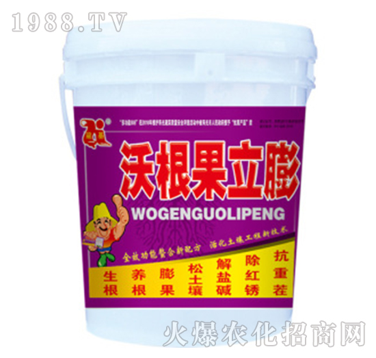 �ָ�������-��������