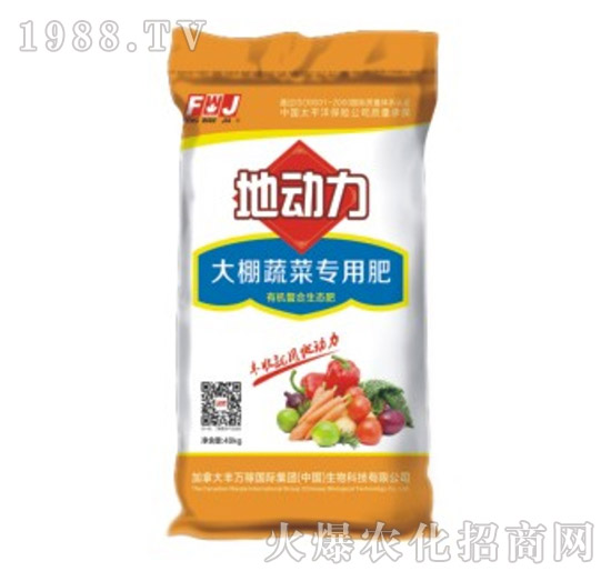 �����߲ˌ��÷�-�؄���-�S�f��