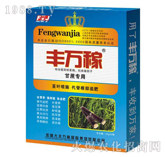 ���ጣ�÷�-���������������֠I(y��ng)�B(y��ng)Һ-�S�f��