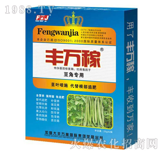 ���ǌ��÷�-��������������{�턩-�S�f��