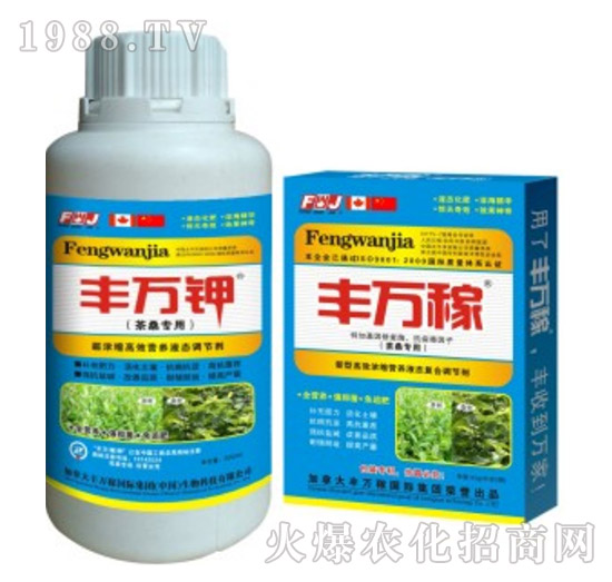 ��ɣ���ø�Ч�I(y��ng)�B(y��ng)Һ�B(t��i)�{(di��o)��(ji��)��-�S�f(w��n)��