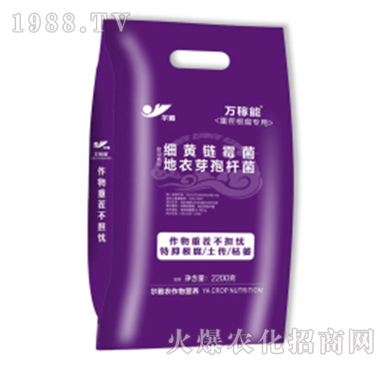 �ز�������÷�-�f����-Ǭ�r(n��ng)