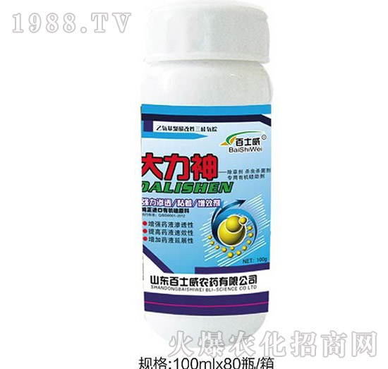 ������-��ʿ��