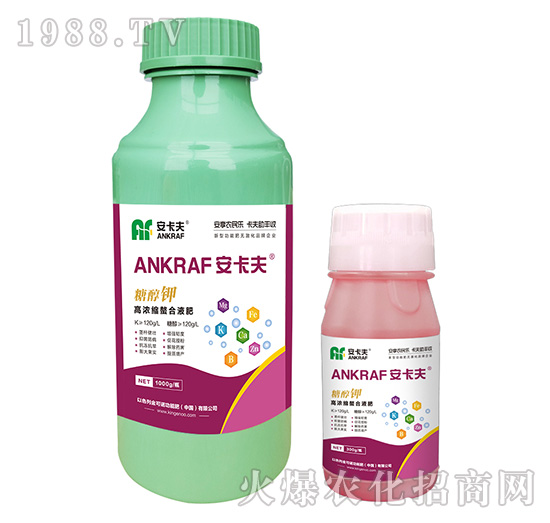 �Ǵ��-������