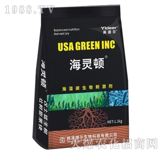 ����̼����̼���-���`�D-� �����