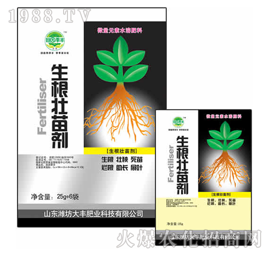 25g�������焩-��@���S-���S�ʘI(y��)