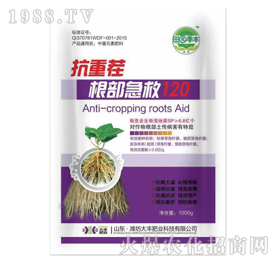 ���ز��������120-��@���S-���S�ʘI(y��)