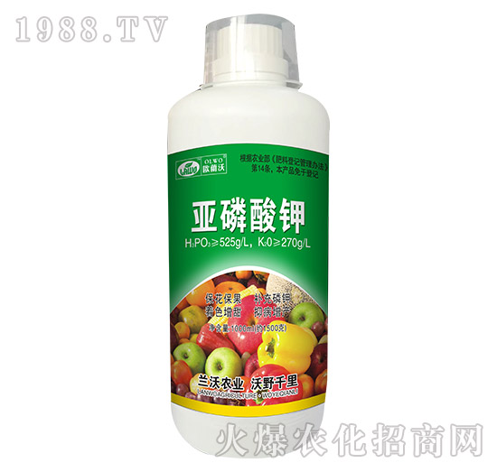 1000ml�������-�m���r�I(y��)