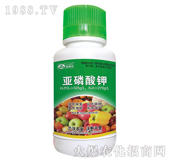 200ml�������-�m���r�I(y��)