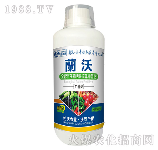 1000gȫ�I(y��ng)�B(y��ng)����������w�־���-�m���r(n��ng)�I(y��)