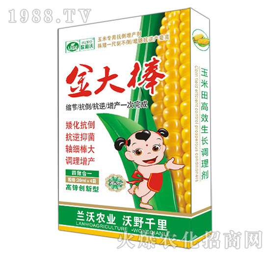 ����-�m���r(n��ng)�I(y��)