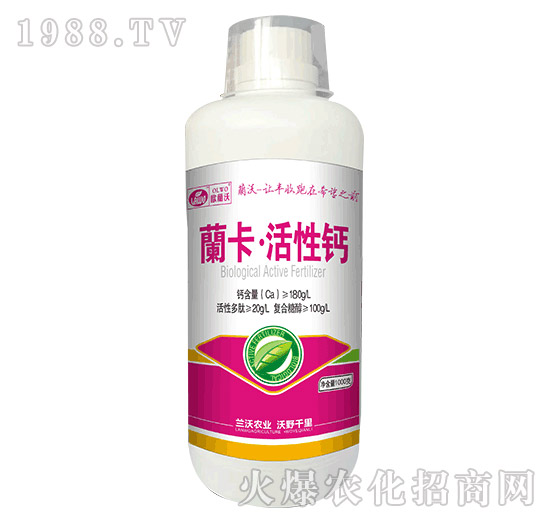 1000g�_���������}-�m���r�I(y��)