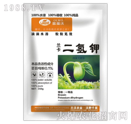 �m�������-�m���r(n��ng)�I(y��)