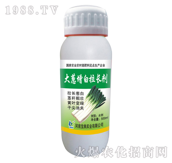 ���[�������L��-���䌍�I(y��)