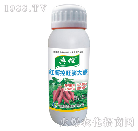 �t�����������-���-���䌍�I(y��)