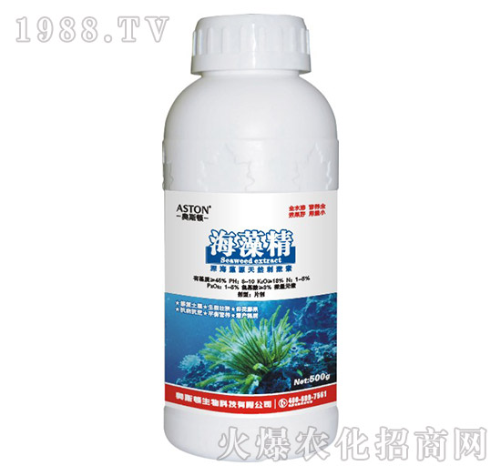 ���徫-�W˹�D