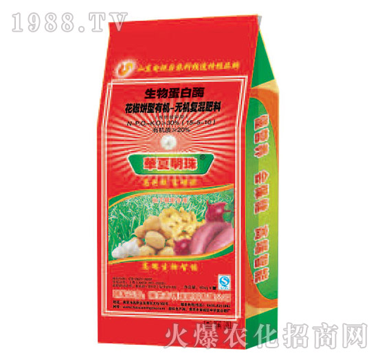 ���ﵰ��ø-������͏ͻ����-�������