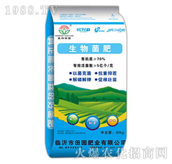 �������-��@�ʘI(y��)