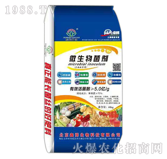 ΢�������-��@�ʘI(y��)