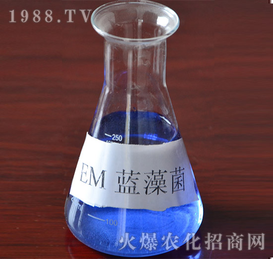 EM�{���-�VԪ����