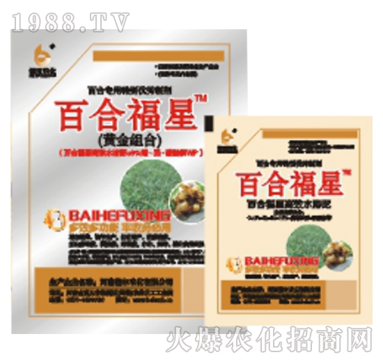 �ٺϸ���-����