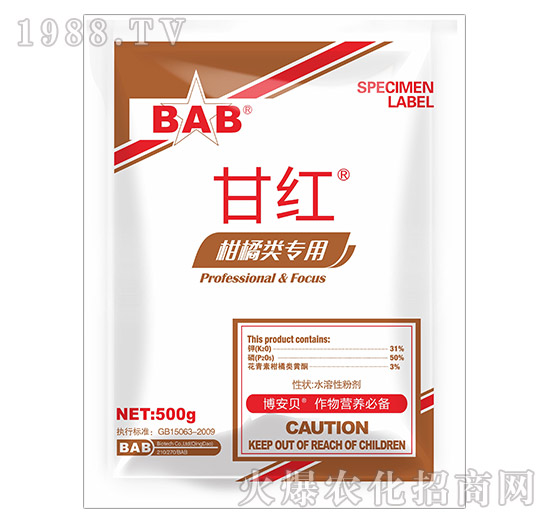 500g�ʼt-����ؐ